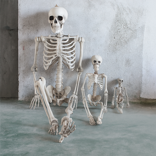 Real life-Size Halloween Skeleton Decoration