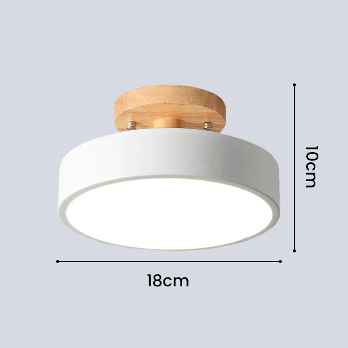 Simple Semi-flush LED Ceiling Light