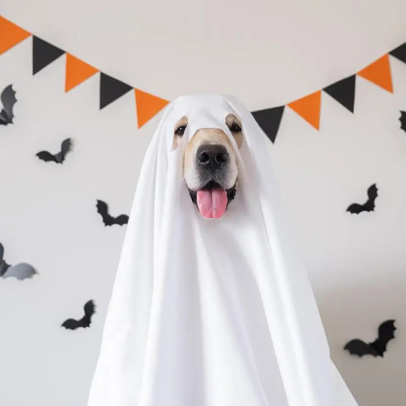 Ghost Dog Halloween Costume