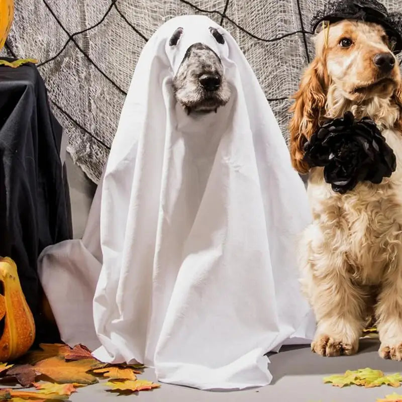 Ghost Dog Halloween Costume