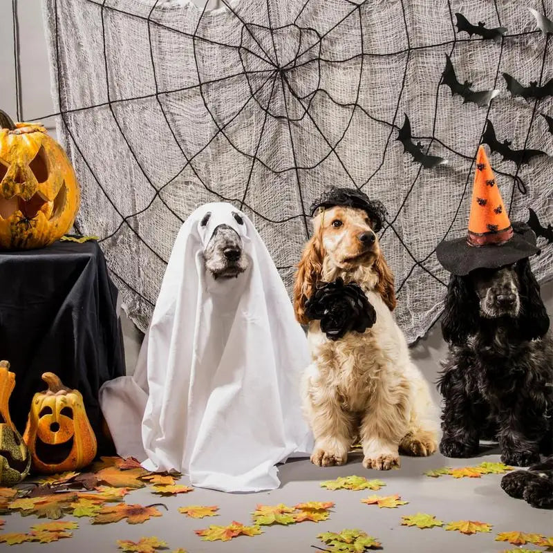 Ghost Dog Halloween Costume