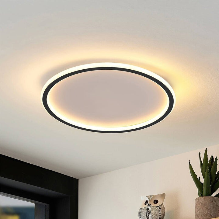 Nordic Style Disc LED Ceiling Lighting