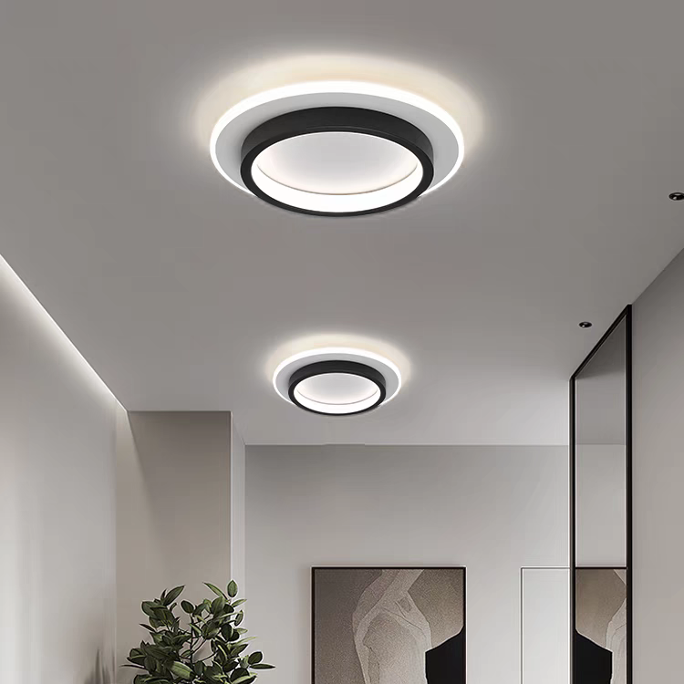 Round Metal Acrylic LED Ceiling Light