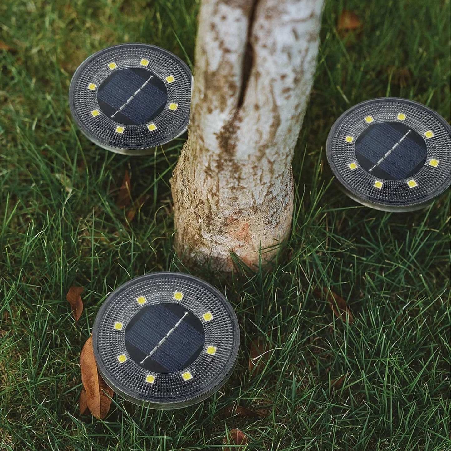 Solar Garden Lights – Energy-Efficient, Waterproof Design