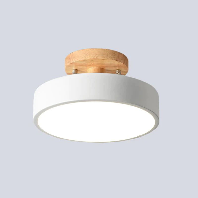 Simple Semi-flush LED Ceiling Light