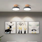 Simple Semi-flush LED Ceiling Light