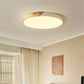 Colorful Round LED Ceiling Light