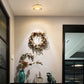 Energy-Efficient LED Ceiling Spotlight