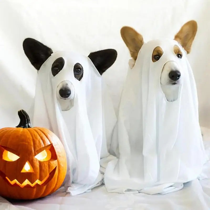 Ghost Dog Halloween Costume