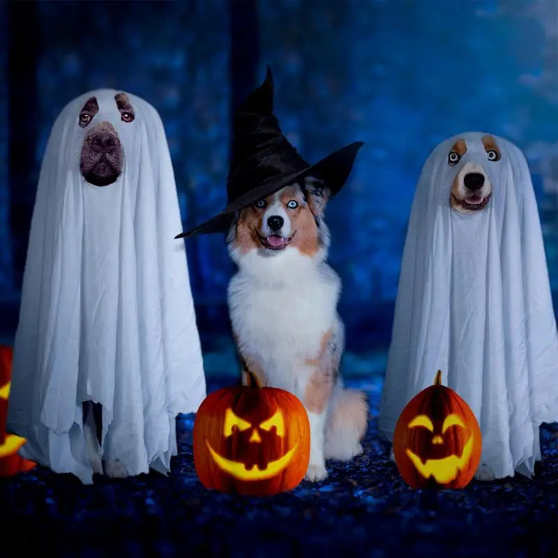 Ghost Dog Halloween Costume