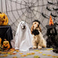 Ghost Dog Halloween Costume
