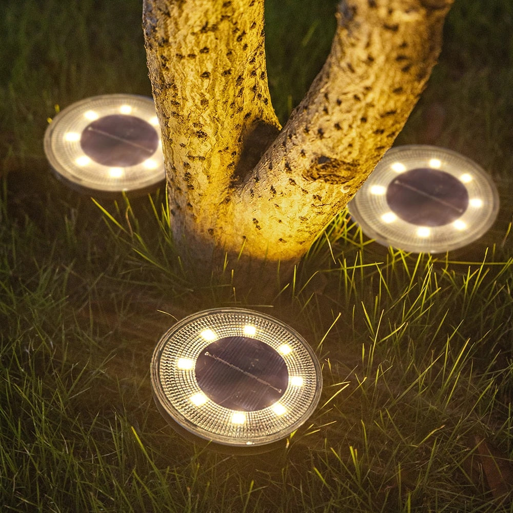 Solar Garden Lights – Energy-Efficient, Waterproof Design