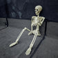Life Size Posable Halloween Skeleton