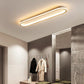 Modern Aisle Long Ceiling Light
