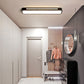 Modern Minimalist LED Ceiling Lighting