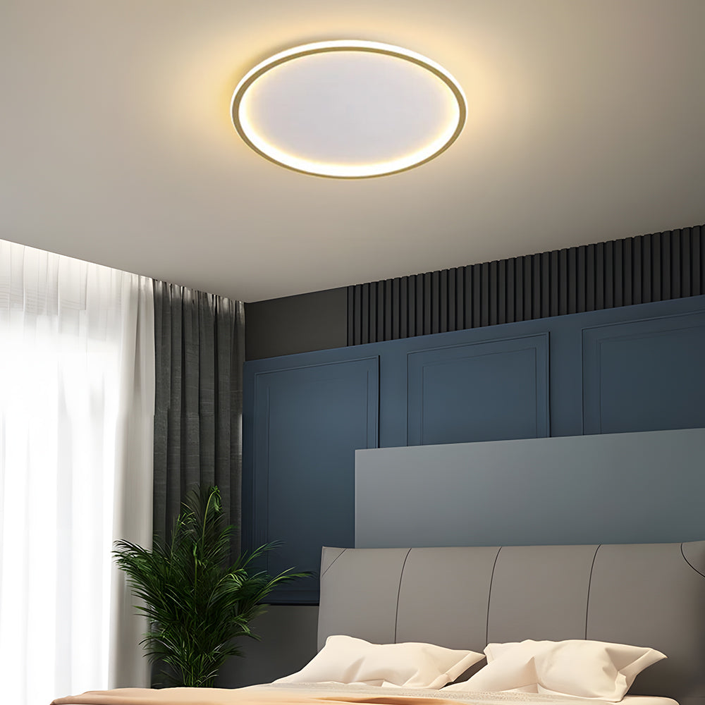 Nordic Style Disc LED Ceiling Lighting