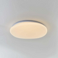 Flush Mount Ceiling Light