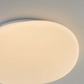 Flush Mount Ceiling Light