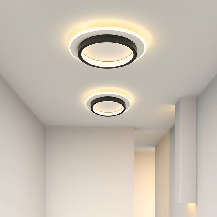 Round Metal Acrylic LED Ceiling Light