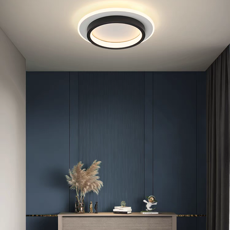 Round Metal Acrylic LED Ceiling Light